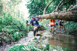 BIB: 
                            <button type="button" onclick="openModal(25476295)" class="btn btn-primary btn-sm float-right btn-popup" data-toggle="modal" data-target=".modal-high-quality">
                        <i class="fas fa-shopping-cart"></i> Add to Cart
                    </button>
                                            <button type="button" onclick="isThisMe(25476295, true)" class="btn btn-success btn-sm float-right btn-popup btn-isme hidden" data-toggle="tooltip" data-placement="bottom" title="นี่คือรูปของคุณใช่ไหม คลิกที่นี่เพื่อเอาเข้าอัลบั้ม">
                        <i class="fas fa-plus"></i> Add to album
                    </button>
                    <button type="button" onclick="isThisMe(25476295, false)" class="btn btn-warning btn-sm float-right btn-popup btn-isnotme hidden">
                        <i class="fas fa-ban"></i> Remove from album
                    </button>